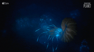 Apple Original GIF by Apple TV+