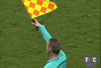 ligue 1 soccer GIF by Toulouse Football Club