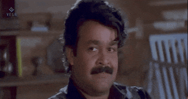 Smirk Laughing GIF by nikvi