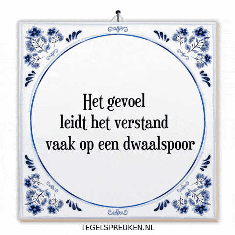 Nl Spreuk GIF by Tegelspreuken.nl