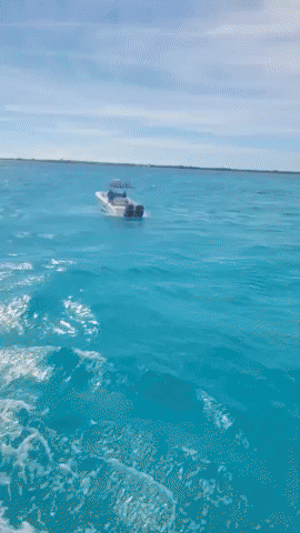 'Our Boat Is Sinking': Passengers Scream as Ferry Capsizes in the Bahamas