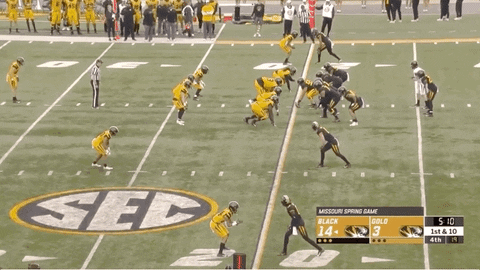 hoffeli giphyupload GIF