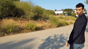 NordicWire americana nordicwire guillem GIF