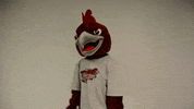 Rcnj Ramapocollege GIF by Ramapo College of New Jersey