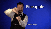 sign language pineapple GIF by Sign with Robert