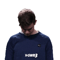 Scared Fu Sticker by SWR3