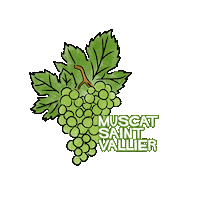 Wine Bali Sticker by Sababay Winery