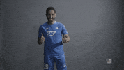 german football GIF by Bundesliga