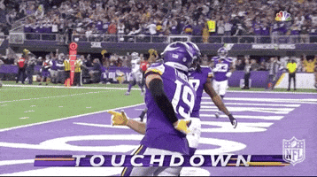 Minnesota Vikings Football GIF by NFL