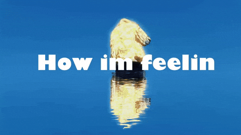 Videography Isolate GIF by Redhazestudios