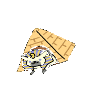neko atsume STICKER by imoji