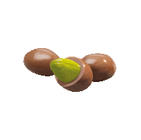 chocolateslacasa chocolate lacasa frutossecos alegrate Sticker