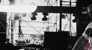 brillz GIF by Disco Donnie Presents