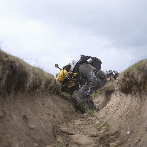 Jump Win GIF by Greg Villalobos