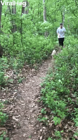 Daily Workout for My Cat…and Husband