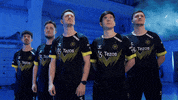 Counter Strike Team GIF by BLAST
