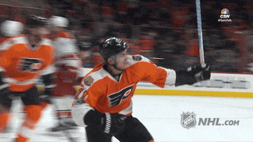 Ice Hockey GIF by NHL