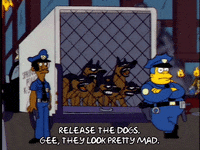 Season 4 Episode 21 GIF by The Simpsons