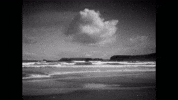 Tomorrow Im Sorry GIF by JC Stewart