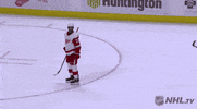 happy ice hockey GIF by NHL