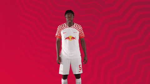 Football Smile GIF by RB Leipzig