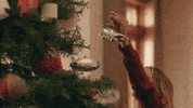 Christmas Town GIF by Hallmark Channel
