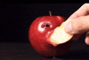 Apple Fruit GIF