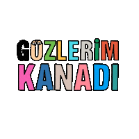 Turkce Sticker