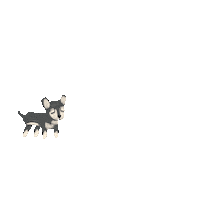 dog chihuahua Sticker by Nelly Castro