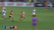hatchard GIF by Adelaide Crows