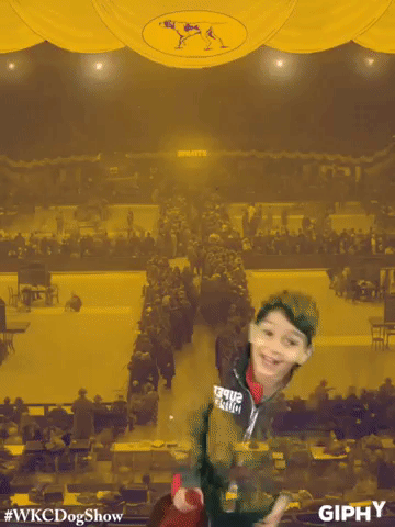 wkcdogshow GIF by Westminster Kennel Club