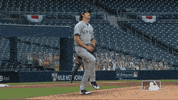 Jumping New York Yankees GIF by MLB