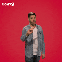 Stop Do Not Want GIF by SWR3