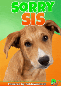 PetJuvenate petjuvenate henlo hooman fren love rescue dogs treatos and woofer for pupper GIF