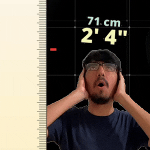 2' 4"