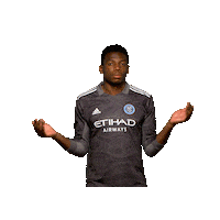 New York City Fc Reaction Sticker by NYCFC