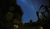 Council GIF by Survivor CBS