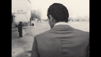 Van Gogh Dorota Kobiela GIF