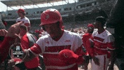 College Baseball GIF by NCAA Championships