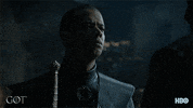 jaime lannister hbo GIF by Game of Thrones