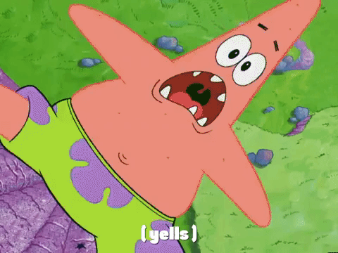 season 4 GIF by SpongeBob SquarePants