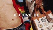 Party Color GIF by Coach