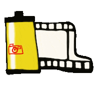Film Camera Sticker by Shieldless Magazine
