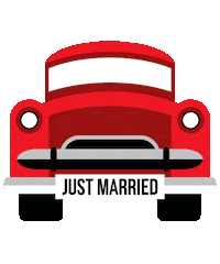 Just Married Love Sticker by Many Mornings