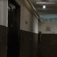 Basket Case Film GIF by Arrow Video