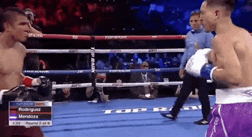 toprank boxing fighting espn fighters GIF