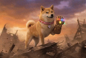 Kindness Is Inevitable | DogeGF