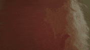 Country Music Nashville GIF by Little Big Town