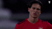 Sl Benfica No GIF by Sport Lisboa e Benfica