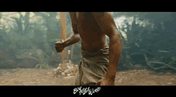 Mixed Martial Arts Fight GIF by Signature Entertainment
